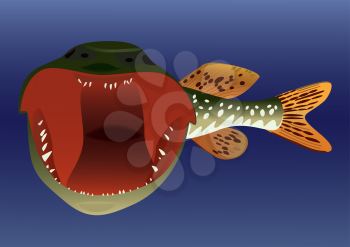 Royalty Free Clipart Image of a Pike With Its Mouth Open