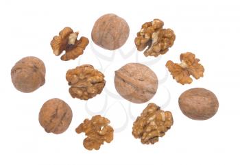 Nuts are not cleaned and cleaned on a white background. 
                   