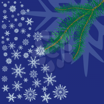 Spruce branch with snowflakes on blue background, file EPS.8 illustration.