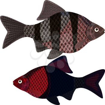 Exotic aquarium fish sort karpovy pethia nigrofasciatus, EPS10 - vector graphics.