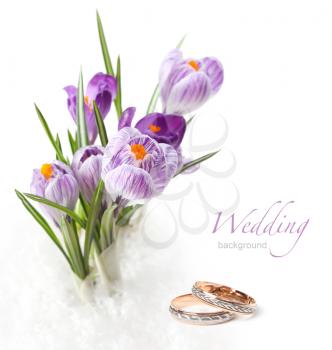 Bridal Stock Photo