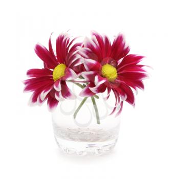 Flower Vase Stock Photo