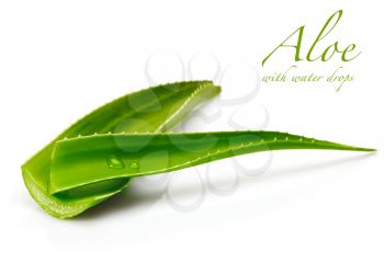 Aloe Stock Photo
