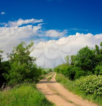 summer landscape with road 