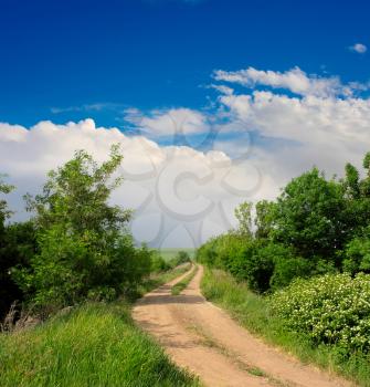 summer landscape with road 