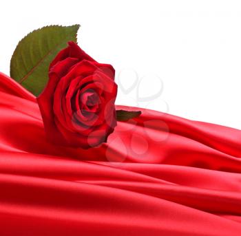 rose on red silk