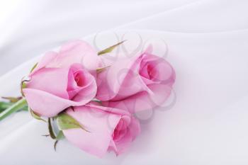 pink roses on a white silk