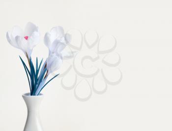 spring crocus flower bouquet in vase