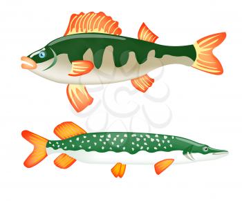 Royalty Free Clipart Image of Two Fish