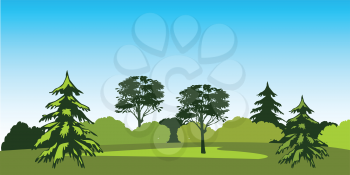 The Beautiful panorama glade and wood.Vector illustration