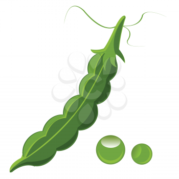 The Green peas on white background is insulated.Vector illustration
