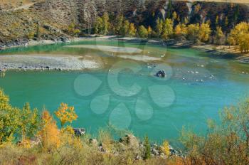 The Clean mountain river by autumn.Mountain Altai