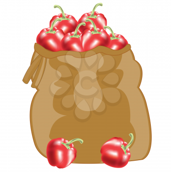 Bag with red pepper on white background is insulated