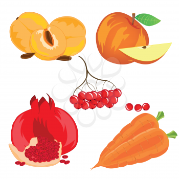 Vegetables with fruit and berry on white background is insulated