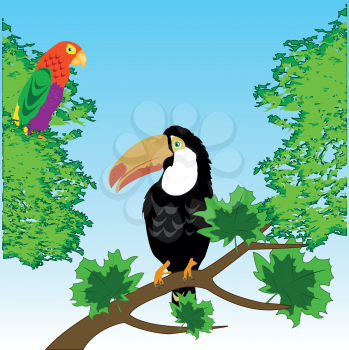 Vector illustration of the tropical birds toucan and parrot in wood