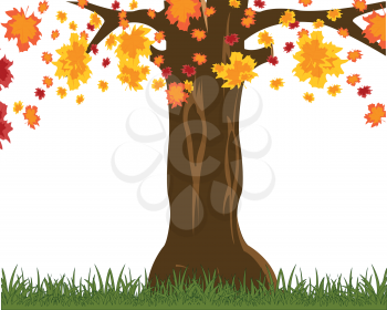 Vector illustration autumn tree with falling foliage