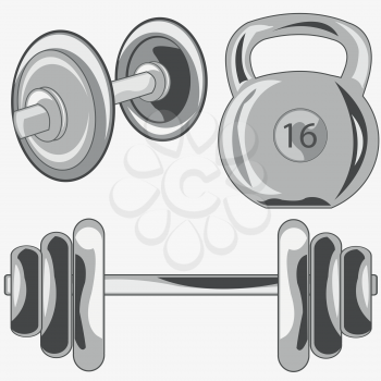 Weight and dumbbell on white background is insulated