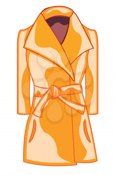 Vector illustration of the cloth fashionable coat for womans