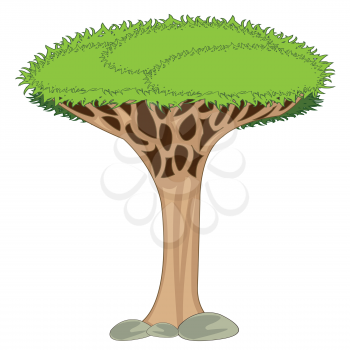 Vector illustration exotic dragon tree of the unique type