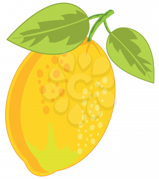 Vector illustration of the ripe fruit lemon with foliage