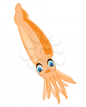 Vector illustration of the sea shellfish squid cartoon