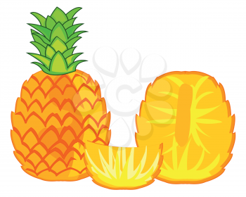 Vector illustration of the fruit pineapple and his halfs with pulp