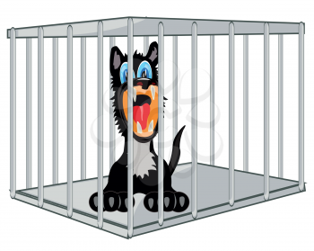 Animal wolf in iron hutch on white background is insulated