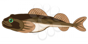 Vector illustration of the cartoon of sea fish goby
