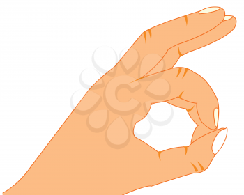 Vector illustration of the hand of the person showing finger circle