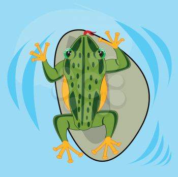 Vector illustration grovelling animal frog in water type overhand