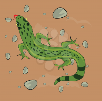 Vector illustration grovelling animal to reptiles lizard in desert