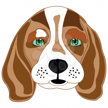 Vector illustration of the portrait of the dog of the sort beagle