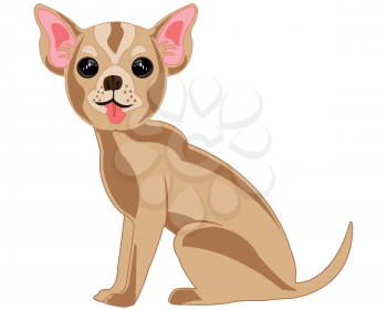Vector illustration of the small decorative dog of the sort chihuahua