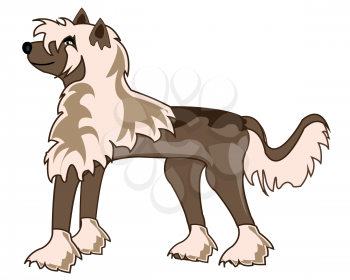 Vector illustration of the cartoon Chinese Crested dogs