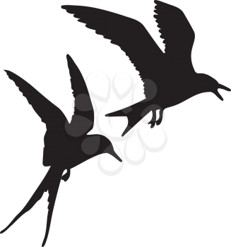 Royalty Free Clipart Image of a Silhouette of Birds in Flight