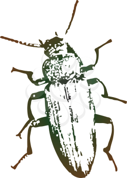 Royalty Free Clipart Image of a Beetle