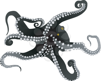 vector octopus