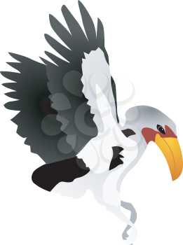 Vector illustration of hornbill