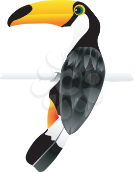 Vector image  of toucan