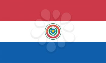 Vector illustration of the flag of Paraguay  