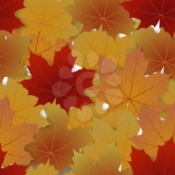 Seamless pattern from autumn maple leaves