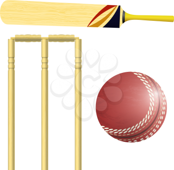 Items for cricket