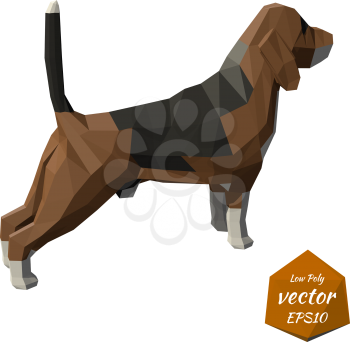 Dog on a white background. Low poly style. Vector.