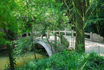 Bridge in asian park as a concept of conservation nature