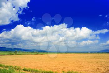 Beautiful summer landscape as a concept of clean nature