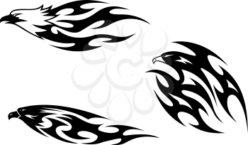 Predator birds tattoos for design. Vector illustration