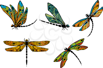 Graceful dragonflies with ornamental wings, adorned by colorful openwork pattern, for nature or tattoo design