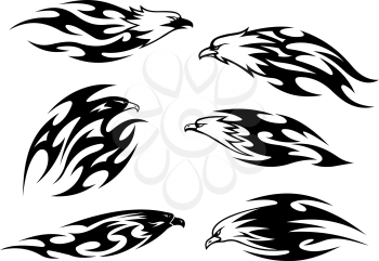 Set of stylized black and white flying eagles with patterned plumage in vector silhouettes, six different design elements