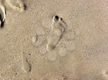 Footprint on the wet beach sand
