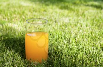 Fresh orange juice on the grass